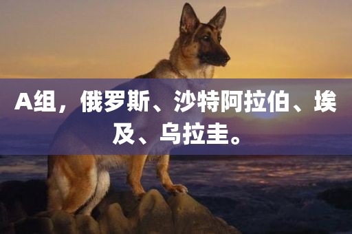A组，俄罗斯、沙特阿拉伯、埃及、乌拉圭。