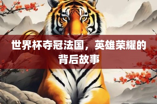 世界杯夺冠法国，英雄荣耀的背后故事