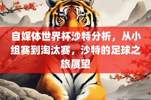 自媒体世界杯沙特分析，从小组赛到淘汰赛，沙特的足球之旅展望