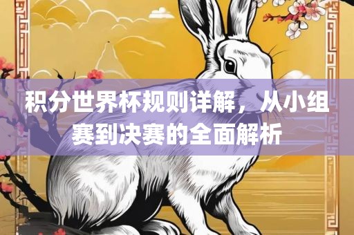 积分世界杯规则详解，从小组赛到决赛的全面解析
