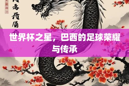 世界杯之星，巴西的足球荣耀与传承