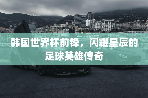 韩国世界杯前锋，闪耀星辰的足球英雄传奇