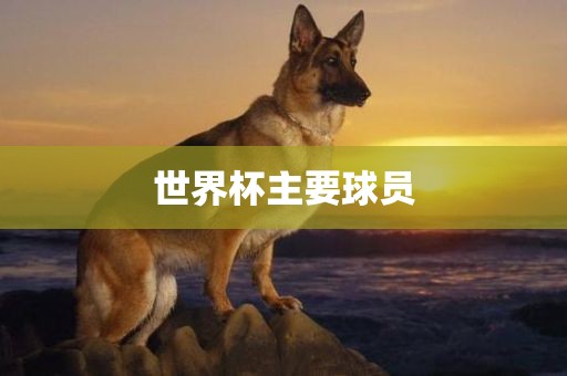 世界杯主要球员