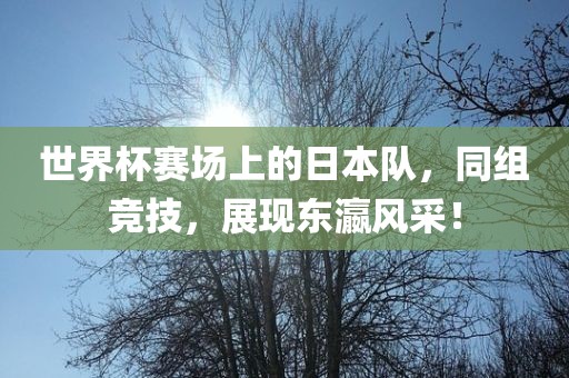 世界杯赛场上的日本队，同组竞技，展现东瀛风采！