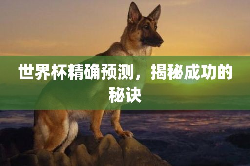 世界杯精确预测，揭秘成功的秘诀