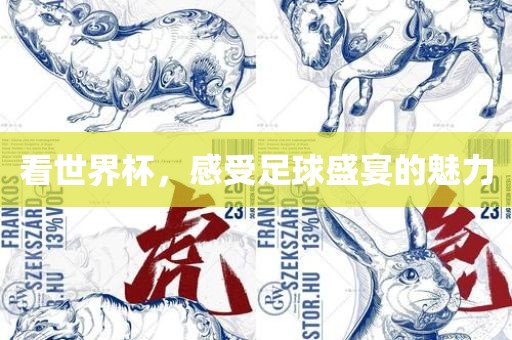 看世吉安市靖泰电力工程有限公司界杯，感受足球盛宴的魅力