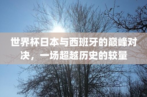 世界杯日本与西班牙的巅峰对决，一场超越历史的较量