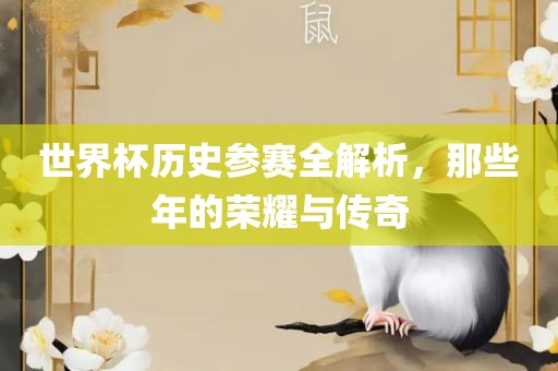 世界杯历史参赛全解析，那些年的荣耀与传奇