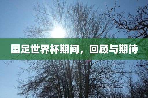 国足世界杯期间，回顾与期待
