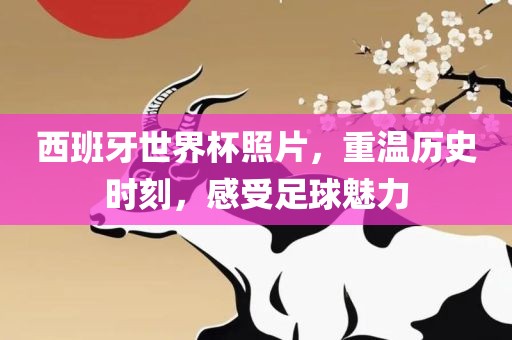 西班牙世界杯照片，重温历史时刻，感受足球魅力