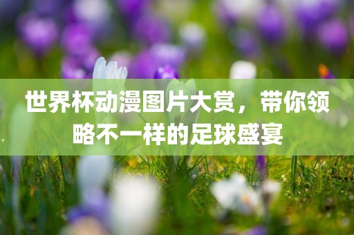 世界杯动漫图片大赏，带你领略不一样的足球盛宴
