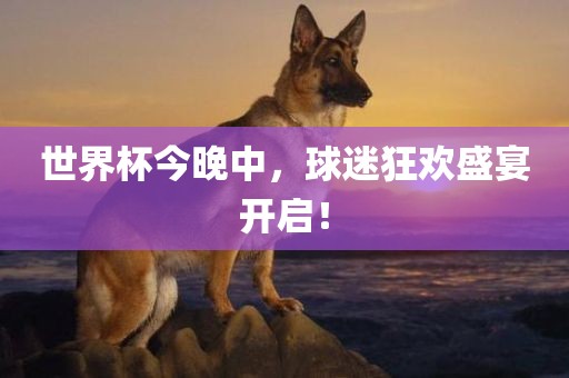 世界杯今晚中，球迷狂欢盛宴开启！