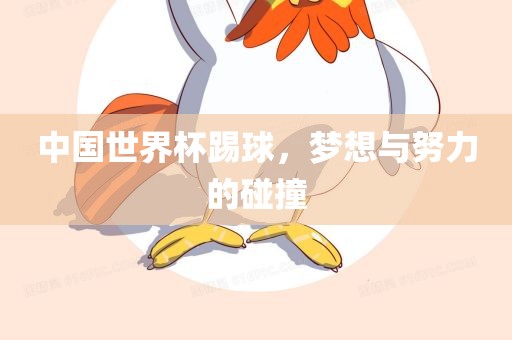 中国世界杯踢球，梦想与努力的碰撞