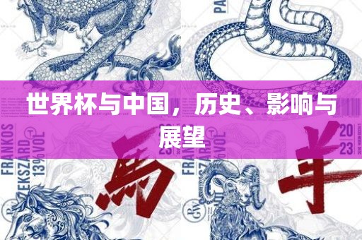 世界杯与中国，历史、影响与展望吉安市靖泰电力工程有限公司