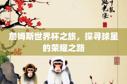 詹姆斯世界杯之旅，探寻球星的荣耀之路