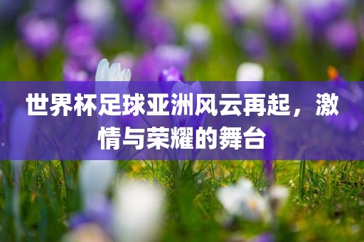 世界杯足球亚洲风云再起，激情与荣耀的舞台