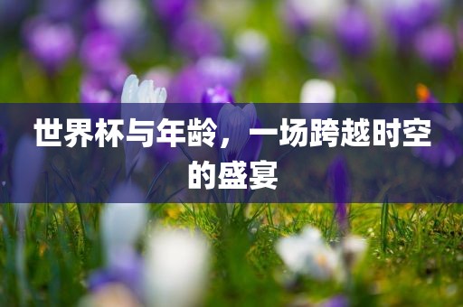 世界杯与年龄，一场跨越时空的盛宴