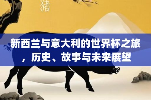 新西兰与意大利的世界杯之旅，历史、故事与未来展望