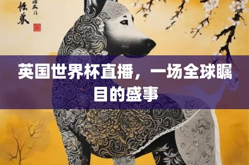 英国世界杯直播，一场全球瞩目的盛事