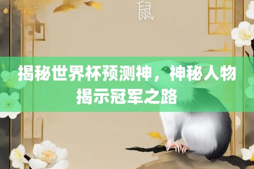 揭秘世界杯预测神，神秘人物揭示冠军之路