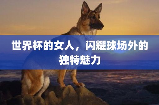 世界杯的女人，闪耀球场外的独特魅力