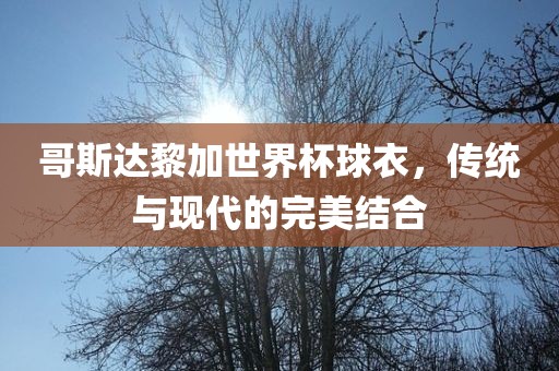 哥斯达黎加世界杯球衣，传统与现代的完美结合