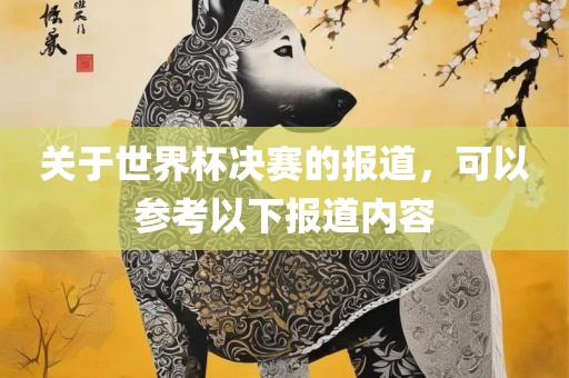 关于世界杯决赛的报道，可以参考以下报道内容