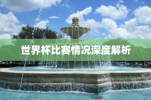 世界杯比赛情况深度解析