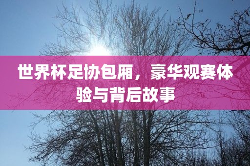 世界杯足协包厢，豪华观赛体验与背后故事
