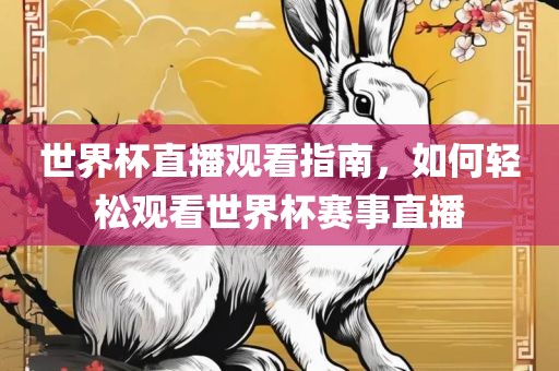世界杯直播观看指南，如何轻松观看世界杯赛事直播
