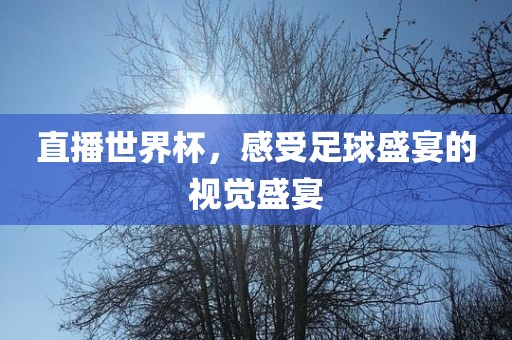 直播世界杯，感受足球盛宴的视觉盛宴