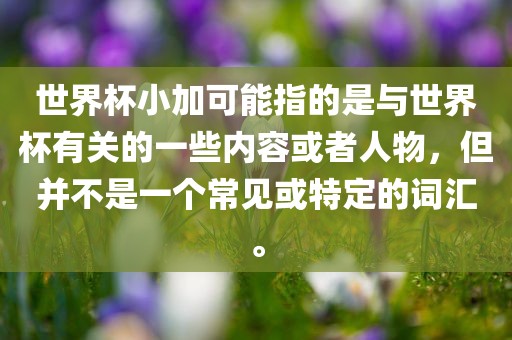 世界杯小加可能指的是与世界杯有关的一些内容或者人物，但并不是一个常见或特定的词汇。