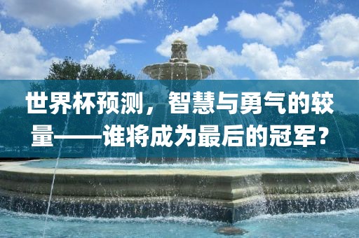 世界杯预测，智慧与勇气的较量——谁将成为最后的冠军？