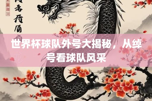世界杯球队外号大揭秘，从绰号看球队风采