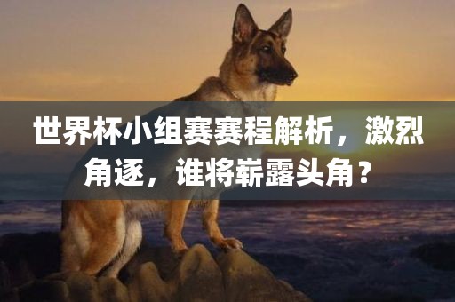 世界杯小组赛赛程解析，激烈角逐，谁将崭露头角？