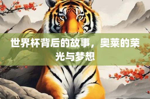 世界杯背后的故事，奥莱的荣光与梦想