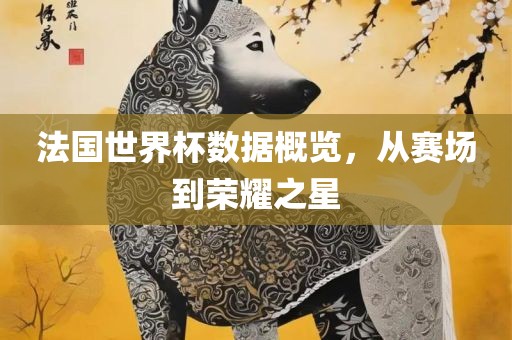 法国世界杯数据概览，从赛场到荣耀之星