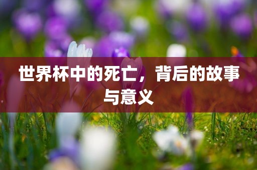 世界杯中的死亡，背后的故事与意义