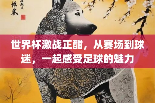 世界杯激战正酣，从赛场到球迷，一起感受足球的魅力
