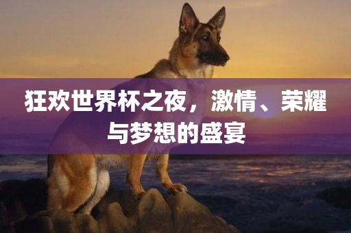 狂欢世界杯之夜，激情、荣耀与梦想的盛宴