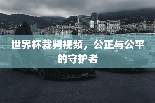 世界杯裁判视频，公正与公平的守护者