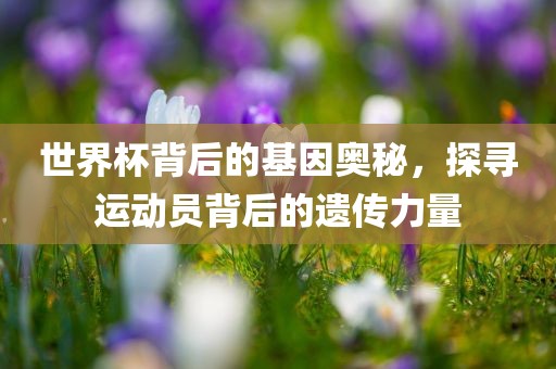 世界杯背后的基因奥秘，探寻运动员背后的遗传力量
