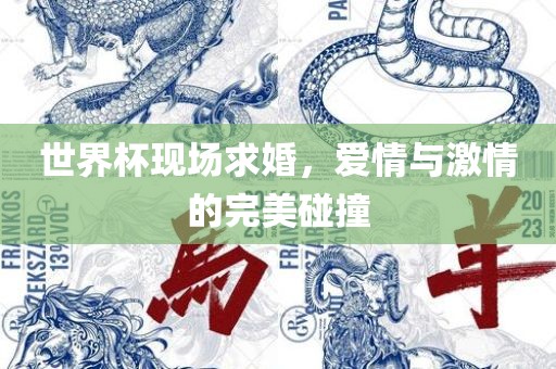 世界杯现场求婚，爱情与激情的完美碰撞