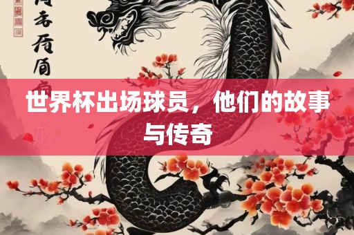 世界杯出场球员，他们的故事与传奇