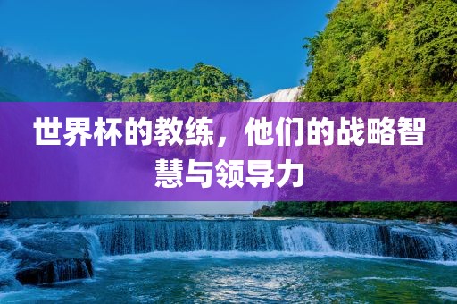 世界杯的教练，他们的战略智慧与领导力
