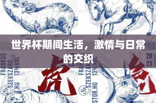 世界杯期间生活，激情与日常的交织