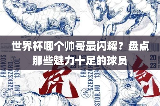 世界杯哪个帅哥最闪耀？盘点那些魅力十足的球员