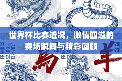 世界杯比赛近况，激情四溢的赛场瞬间与精彩回顾