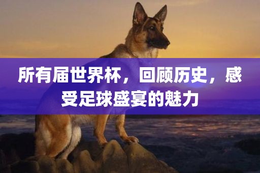 所有届世界杯，回顾历史，感受足球盛宴的魅力