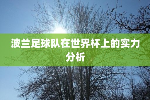 波兰足球队在世界杯上的实力分析
